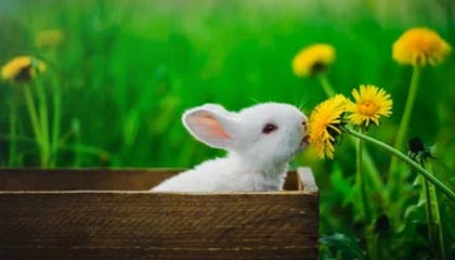 天天盈球网页版-足协评议：广西平果vs定南赣联王思寒踩踏刘浩染红，判罚正确